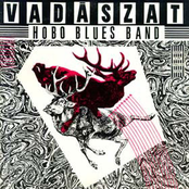 A Vak Zenészek Kara Lassan Lépked A Fűben by Hobo Blues Band