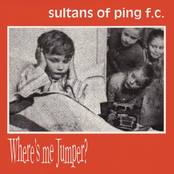 I Said I Am I Said by Sultans Of Ping F.c.