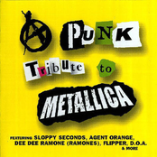 Punk Tribute to Metallica