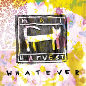 Red Letter Day, On Play by Nai Harvest