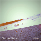 clouds of whales