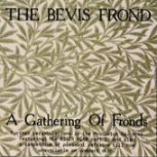 Possession by The Bevis Frond