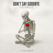 Don't Say Goodbye