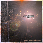 Falling Down by Charming Timur