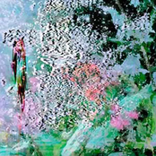 *₊˚｡⋆༺♡༻⋆｡˚₊❀༉₊˚⊹⋆⋆༊⊹˚₊⟡˚｡⋆✧･ﾟ✩˚₊‧₊˚｡☽༉⋆｡˚୨୧⋆༺❁༻⋆｡˚₊ ༉⋆｡˚₊˚✩｡⋆˚♡⋆˚₊₊˚✧･ﾟ☽˚｡⋆༊⋆｡˚₊₊✩˚₊₊❀⋆｡˚༉⋆｡⟡˚༺❁༻⋆｡˚₊