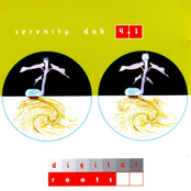 Serenity Dub 4.1 - Digital Roots