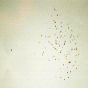 to the hands of heathens