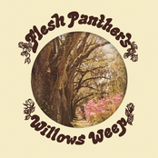 Flesh Panthers: Willows Weep