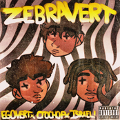ZEBRAVERT