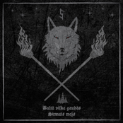 Baltā vilka gaudās: Sirmais mežs