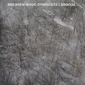 Rides Low In The Water by Dresden Moog Syndicate