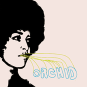 Flip The Tape by Orchid