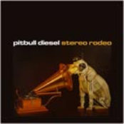 Stereo Rodeo