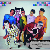 The Woman Who Loves You by Split Enz