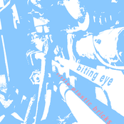 Little Plastic Bricks