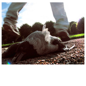 Lumpen Jumpen