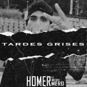 Tardes Grises