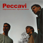 Depressiver Optimismus (2006)