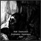 Wall Destruction Koobaatoo Asparagus Split