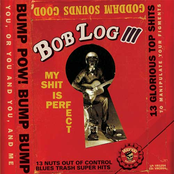 My Shit Is Prefect by Bob Log Iii