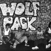 Ny Wolfpack