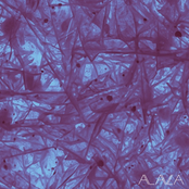 Klangphonics: Feeling Pressure