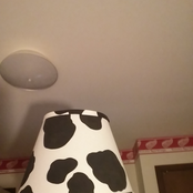 cowlamp