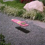 I never felt such emotion