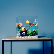 Neon Tetra - EP
