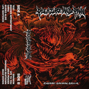 NIGHTMARE STREAMING STATION