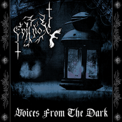 Voices From The Dark
