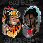 Big Bad Gnar Shit