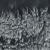 To Ground Myself in the Present