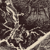 Mortem Autem Spiritus