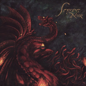 Seeing Through The Shadow Consciousness