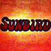 sunbird