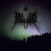 Echoes of the Wolf's Lament