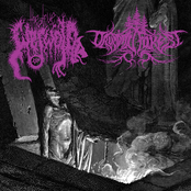 Frozen Throne of the Final Winter of Endless Sorrow (The Funeral of All Life)