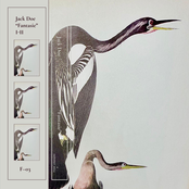 "Fantasie" (anhingas)