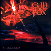 The sea beneath the sand