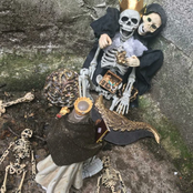 (2022) SOGW2: Estee Nack & the Order of the Golden Fleece