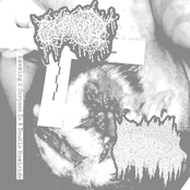 Examining 2 Corpses in a Double Homicide