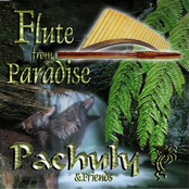 Flute From Paradise
