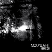 Love In The Dark by Moonlight Bride