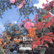 It's Steeper Near The Roses (for David Sylvian) by Harold Budd