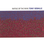 Native Of The Rain by Tony Geballe