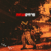 פרחים ונגחות