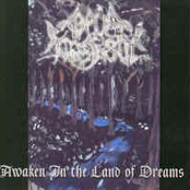 Awaken in the Land Of Dreams (2003)