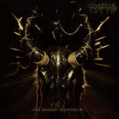 Titvn: The Human Experience