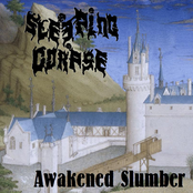 Awakened Slumber